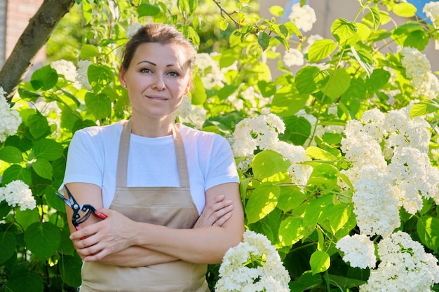 Jardinier femme mûre et confiante en tablier avec des cisailles de jardin près d'un buisson d'hortensias dans l'arrière-cour. Portrait extérieur d'une belle femme d'âge moyen