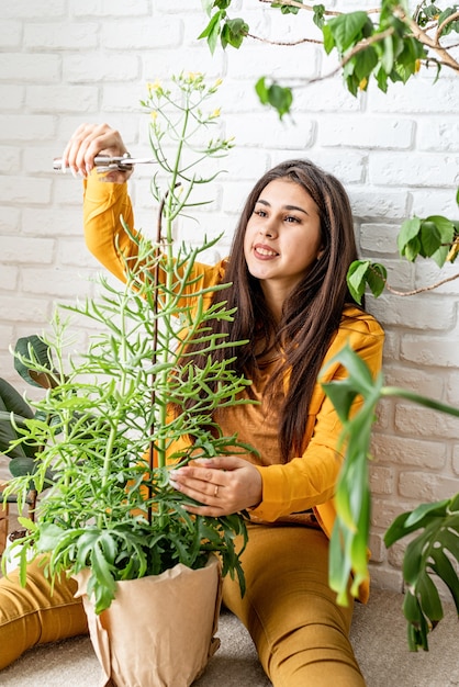 Jardinier de femme prenant soin de sa plante kalanchoe jardin potager