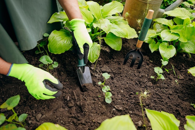 Jardinier femme travaillant dans sa cour Le concept de jardinage cultivant et prenant soin des fleurs et des plantes