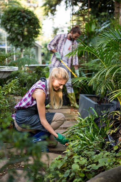 Photo jardinier heureux planter dans le jardin communautaire