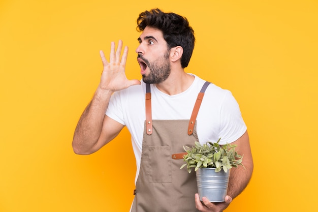 Jardinier homme avec barbe sur mur jaune isolé criant avec la bouche grande ouverte