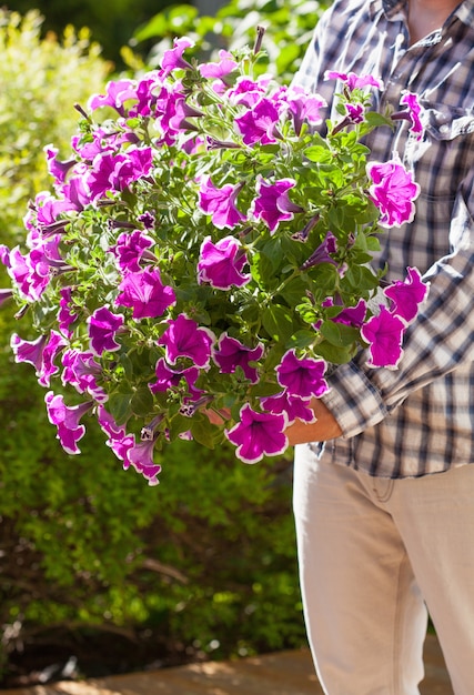 Jardinier homme tenant des fleurs de pétunia en pot de fleurs dans le jardin