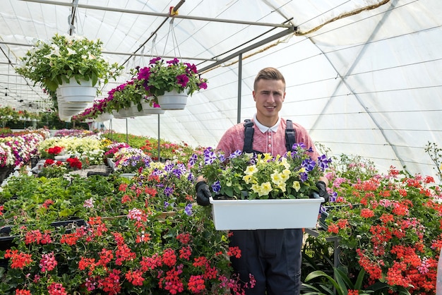 Jardinier mâle porte des fleurs dans une caisse en serre industrielle