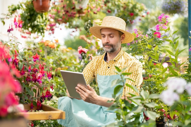 Jardinier mature en chapeau et vêtements de travail assis parmi les fleurs en fleurs et surfer sur le net pour quelques informations