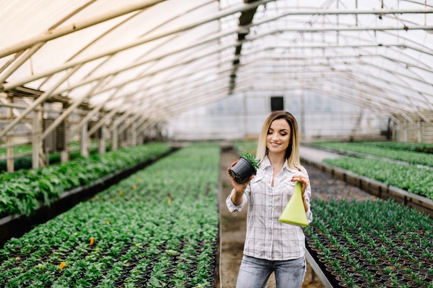 Le jardinier mûr femelle choisit l'engrais liquide au magasin pour des jardiniers