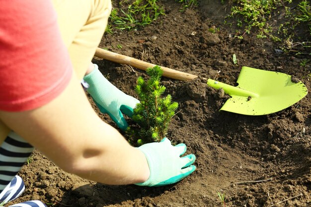 Jardinier plantant un arbre au printemps