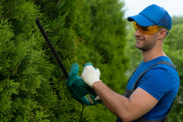 Un jardinier portant des lunettes de sécurité coupe et façonne une haie de thuya avec une tondeuse électrique