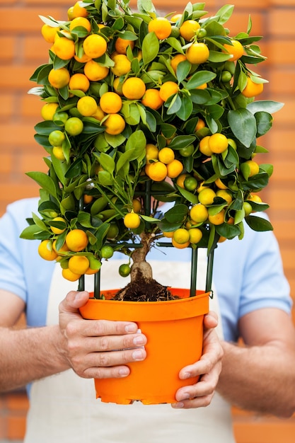 Jardinier. Portrait d'homme se cachant derrière la plante en pot