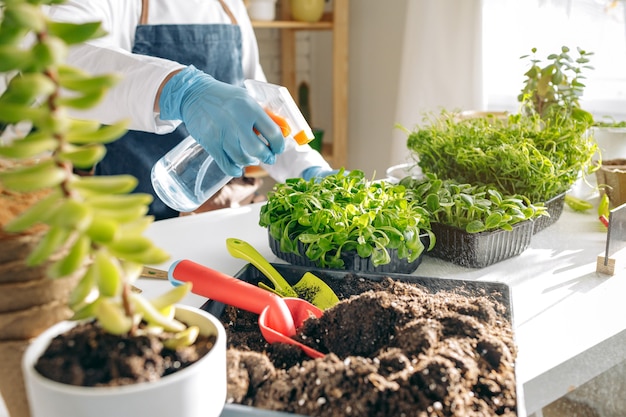 Jardinier prenant soin de ses plantes à l'intérieur close up