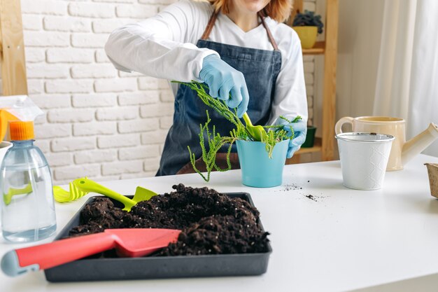 Jardinier prenant soin de ses plantes à l'intérieur close up