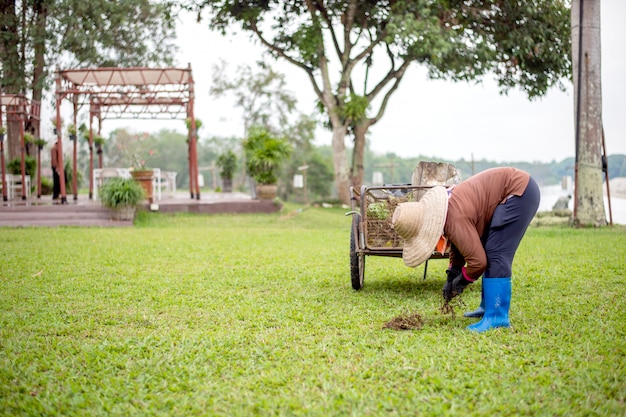 Jardinier professionnel au travail dans le jardin