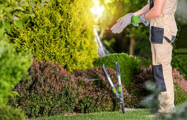 Jardinier professionnel se préparant pour le travail de jardin