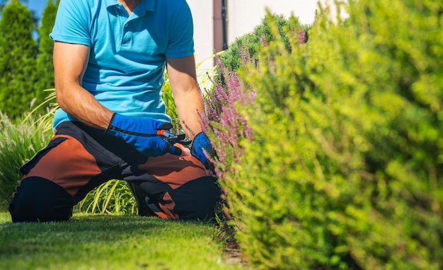 Photo jardinier professionnel avec sécateur de dérivation dans ses mains effectuant un travail de coupe de plantes