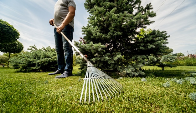 Jardinier ratisser les feuilles de coupe dans le jardin.