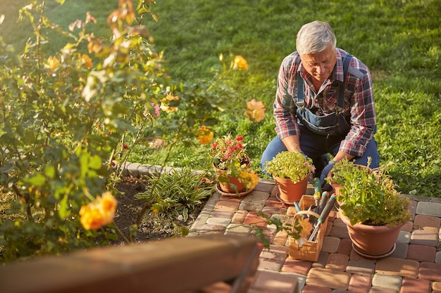 Jardinier senior attentif accroupi tout en prenant soin des plantes d'intérieur à l'extérieur