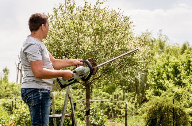 Un jardinier taille des arbres avec un taille-haie