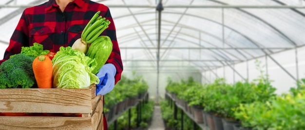 Un jardinier tient une caisse en bois avec divers légumes biologiques fond de potager