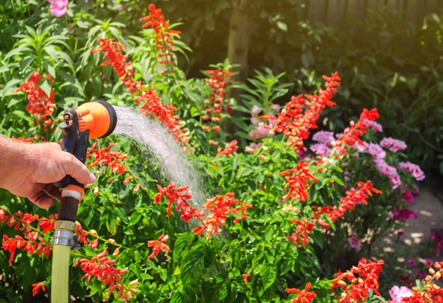 Photo un jardinier avec un tuyau d'arrosage