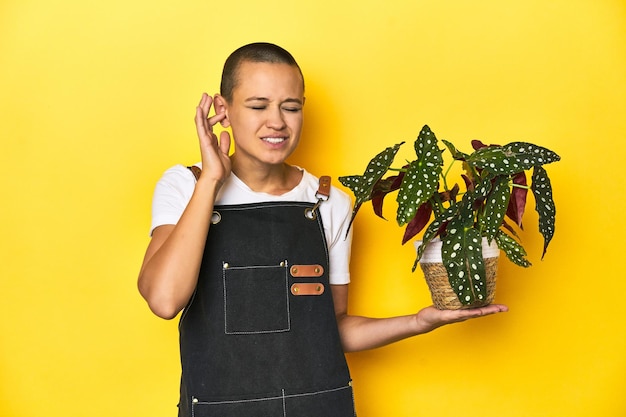 Une jardinière avec un arrière-plan de studio jaune couvrant les oreilles avec ses mains