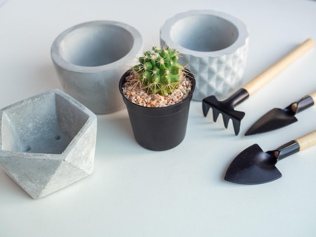 Jardinière en béton géométrique avec cactus et ensemble d'outils de jardin