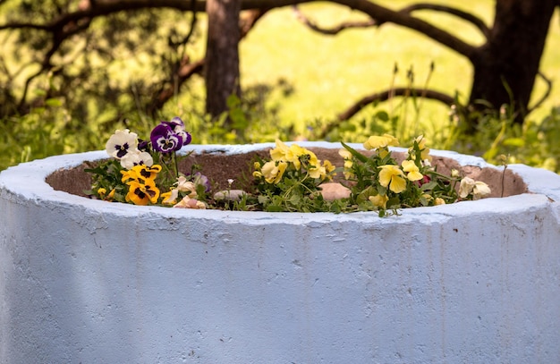 Une jardinière avec des fleurs à l'extérieur