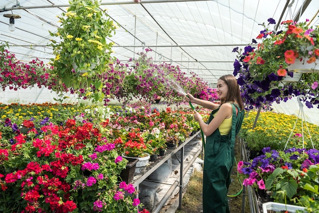 Jardinière professionnelle, arrosage quotidien et soin des fleurs dans une serre.