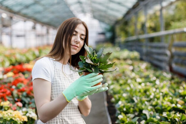 Jardinière en tablier qui s'occupe d'une plante en pot dans une serre entourée de plantes et de pots Jardinier à domicile amour des plantes et des soins