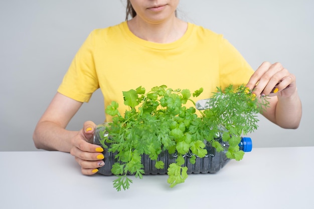 Une jardinière vêtue d'un T-shirt jaune tient une bouteille en plastique avec des plantes de jardin dans ses mains. Concept sans déchets. Réutiliser des choses