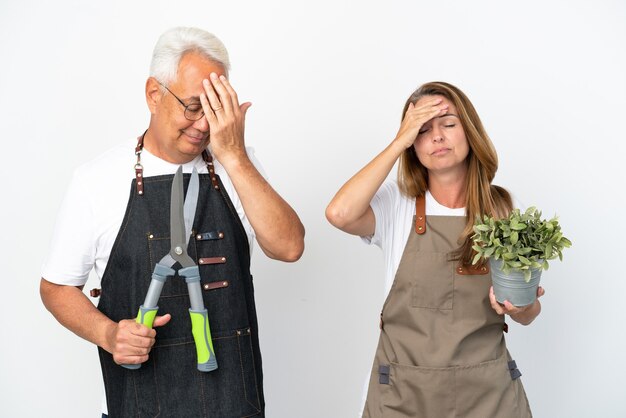 Jardiniers d'âge moyen tenant une plante et des ciseaux isolés sur fond blanc avec une expression faciale surprise et choquée