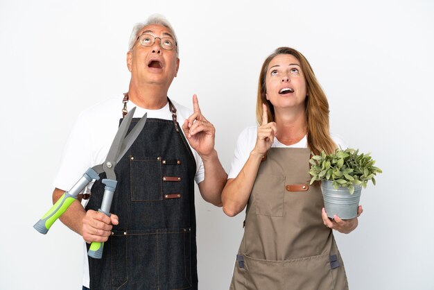 Jardiniers d'âge moyen tenant une plante et des ciseaux isolés sur fond blanc pensant à une idée pointant le doigt vers le haut