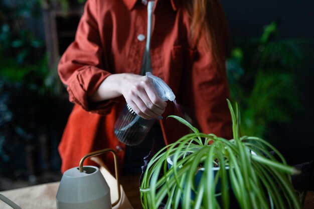 Photo les jardiniers plantent des fleurs à la main dans des pots avec de la saleté ou du sol pour arroser la fleur