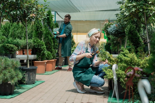Les jardiniers travaillent dans un magasin de plantes de pépinière moderne en serre