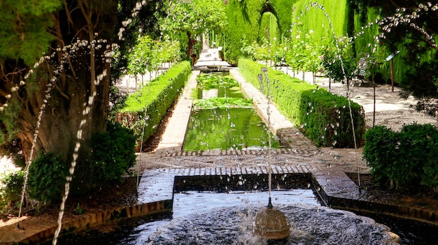 Jardins de l'Alhambra à Grenade Espagne