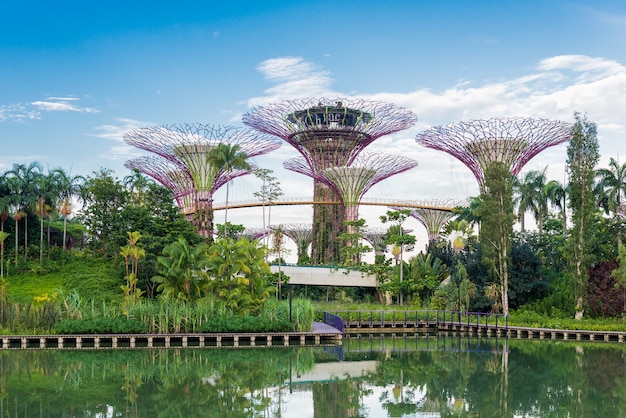 Jardins de la baie de Singapour