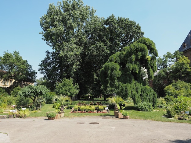 Jardins botaniques de Turin