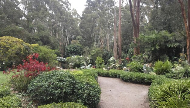 Photo les jardins de breenhold sur le mont wilson, en australie