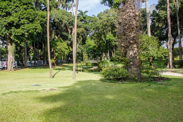 Jardins du palais cathéter à Rio de Janeiro