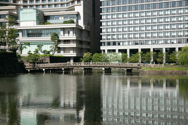 Jardins à l'extérieur du château impérial japonais à Tokyo