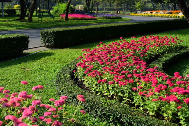 Jardins de fleurs et d’arbres de différentes couleurs et variétés.