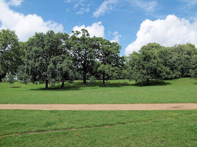 Photo les jardins de kensington londres