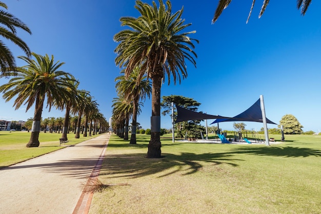 Les jardins luxuriants de Catani par une chaude matinée d'été près de la plage ouest de St Kilda et du port de Melbourne, en Australie