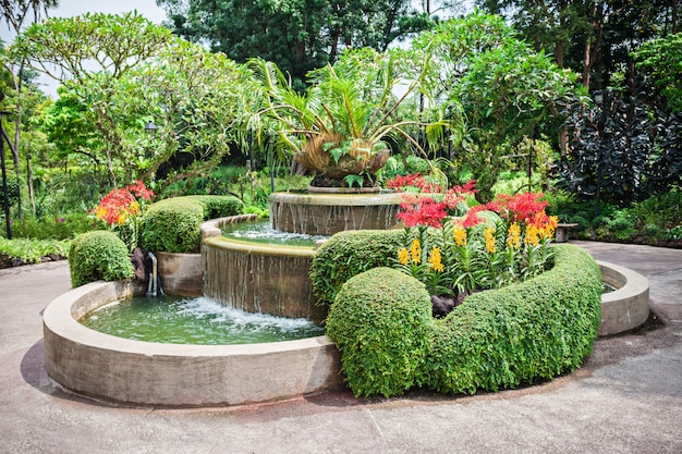 Photo jardins de singapour