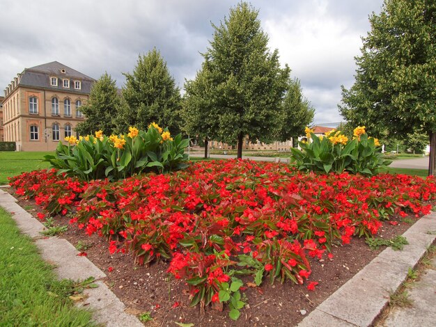 Jardins à Stuttgart Allemagne