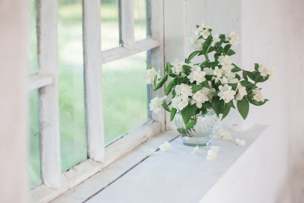 Jasmin dans un vase sur le rebord de la fenêtre