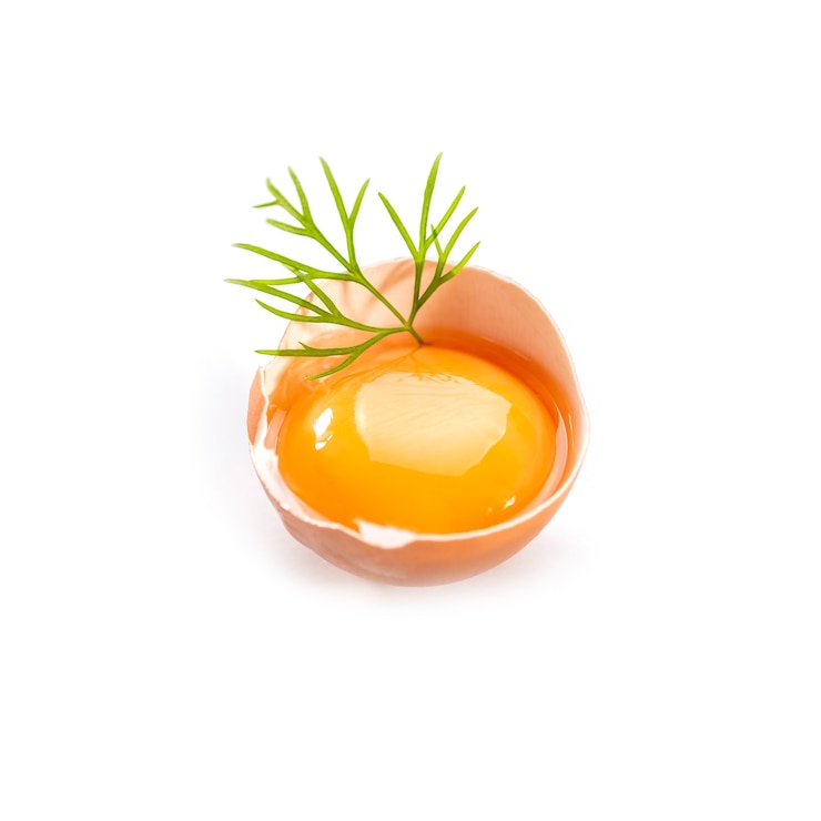 Photo jaune d'oeuf de poulet cru en coquille sur fond blanc