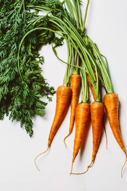 Je viens de ramasser des carottes bio bio fraîches sur blanc