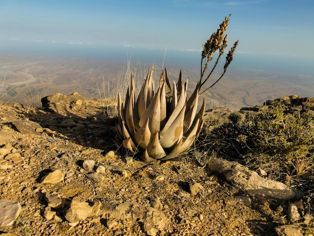 Photo jebel samhan à dhofar sultanat d'oman