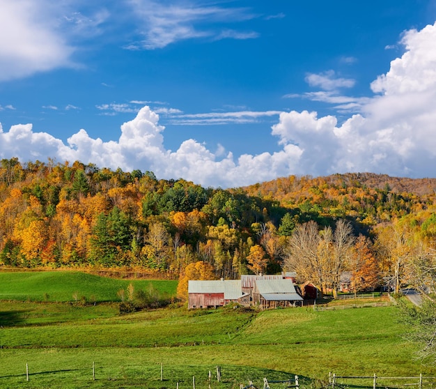 Jenne Farm avec grange au jour d'automne ensoleillé