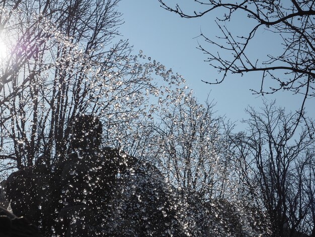 Jet d'eau de fontaine au-dessus du ciel bleu et des arbres