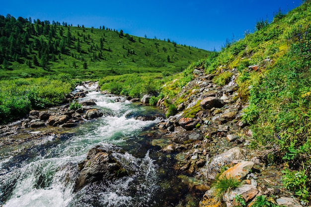 Jet d'eau rapide du ruisseau de montagne parmi les rochers au soleil dans la vallée
